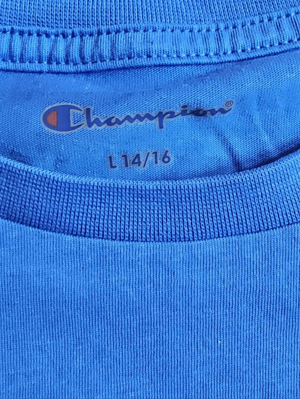 Champion Men's Blue Logo Crew Neck T-Shirt